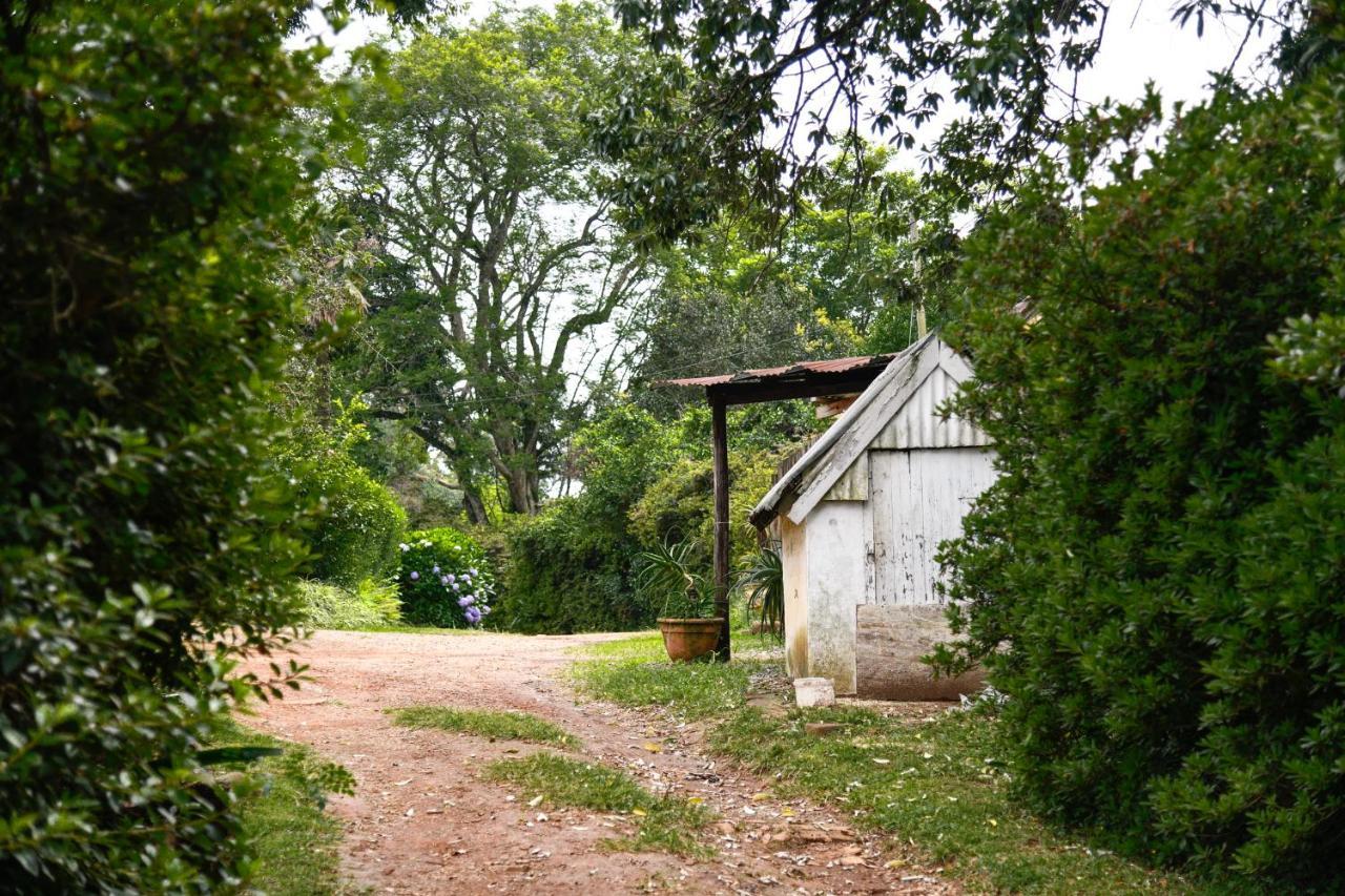 The Knoll Historic Guest Farm Hilton Exterior foto